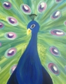 Peacock