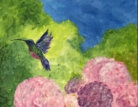 Hummingbird